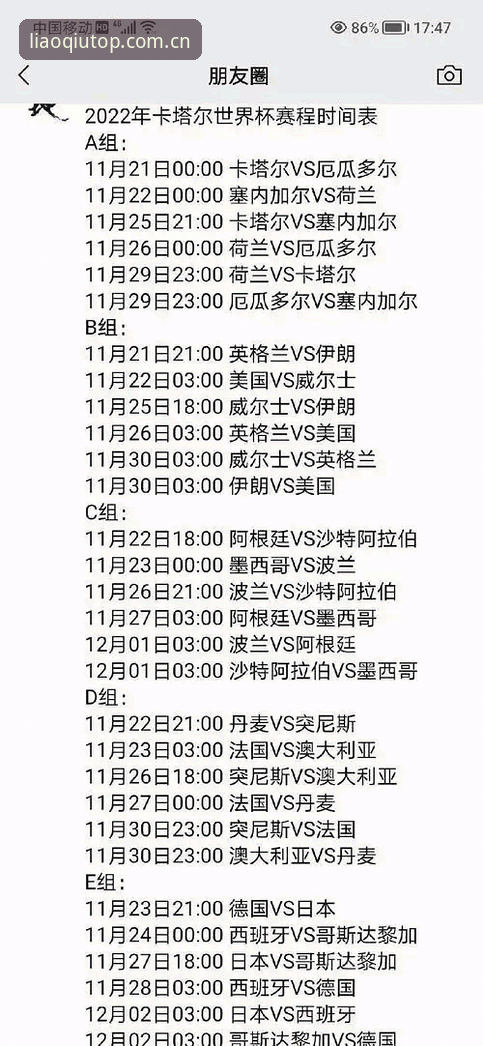 世界杯观赛遇冷深度评测：签证壁垒与地缘政治如何浇灭球迷热情？